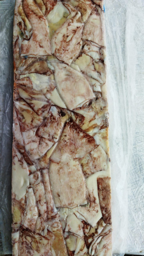 Кальмар