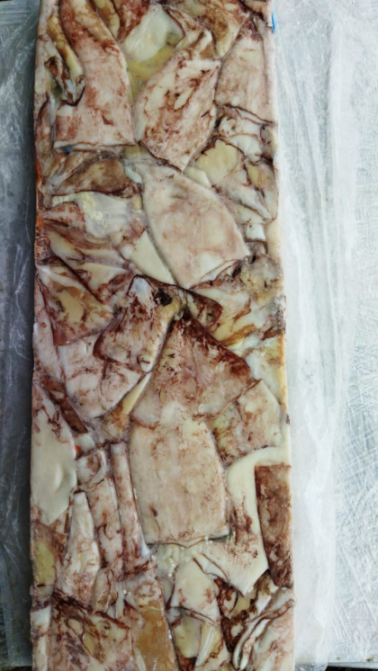 Кальмар